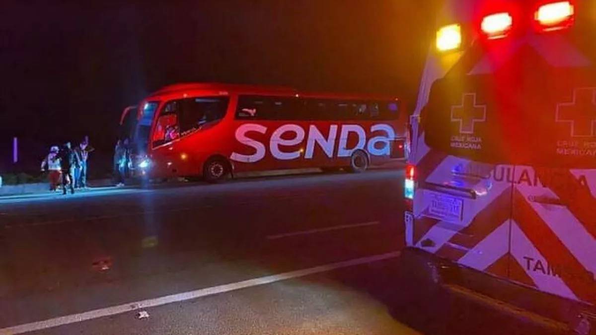 السلطات المكسيكية تبحث عن 31 مهاجراً خطفوا من حافلة<