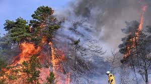 فرنسا تواجه حريقاً هائلاً يلتهم آلاف الهكتارات في جنوب البلاد<