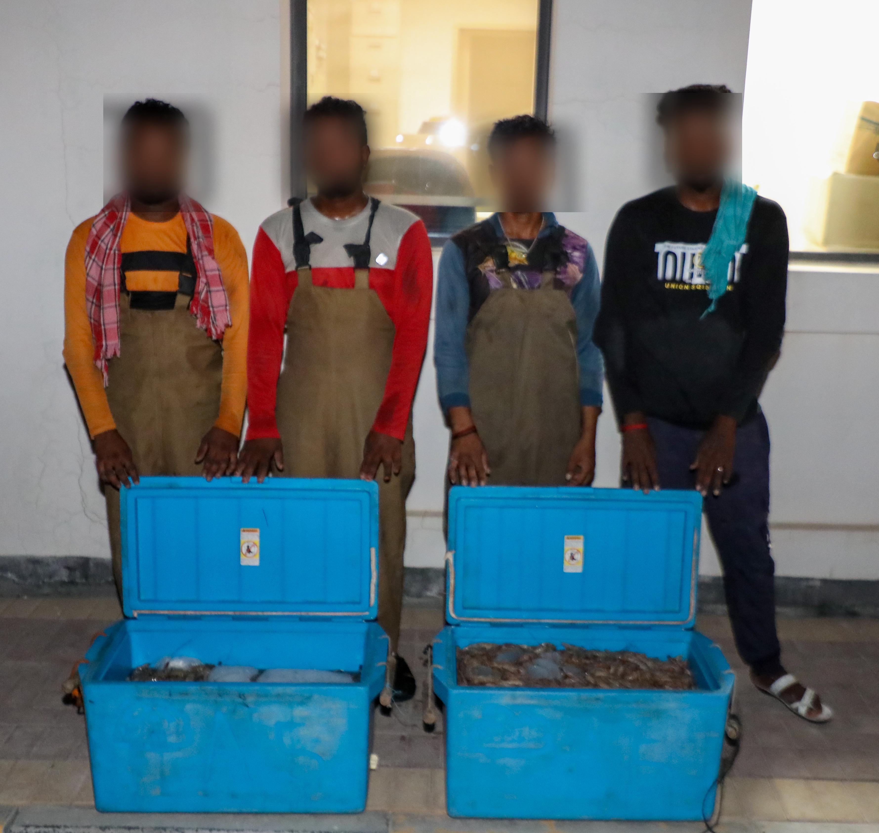 خفر السواحل : ضبط 4 آسيويين وبحوزتهم 60 كيلو غرام من الروبيان المحظور صيده<