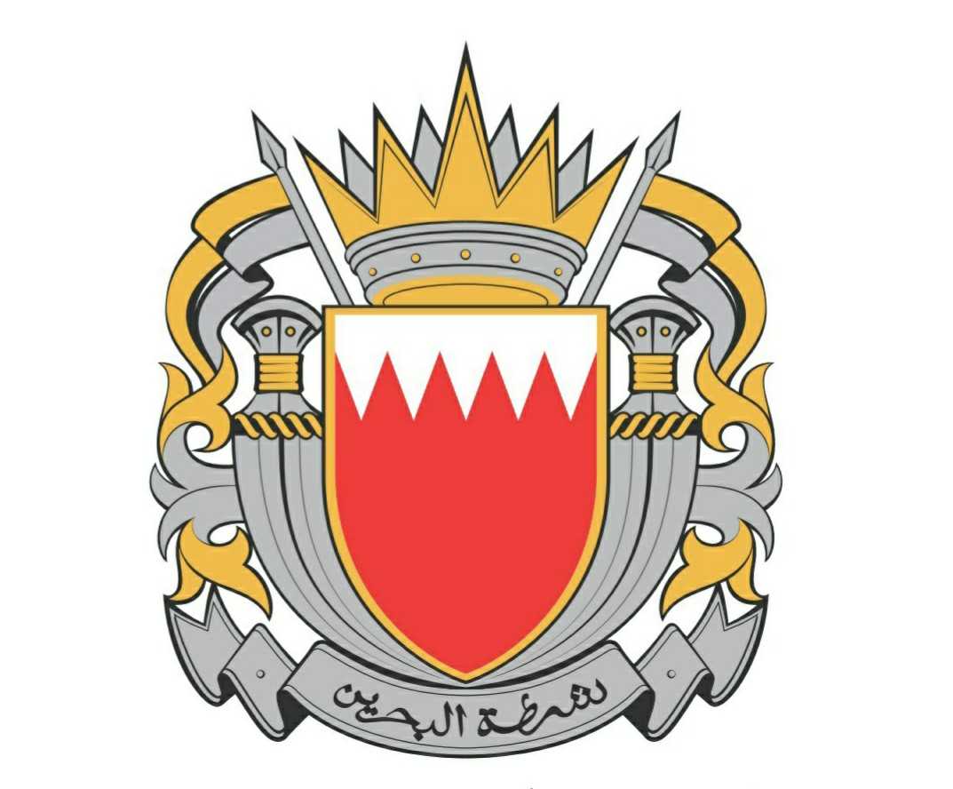 شرطة الجنوبية : القبض على شخصين لسرقتهما أسلاكا كهربائية تبلغ قيمتها 11000 دينار<