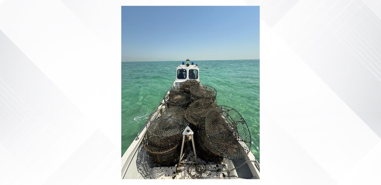 خفر السواحل تضبط 433 مصيدة وشباك صيد مخالفة خلال شهر سبتمبر<